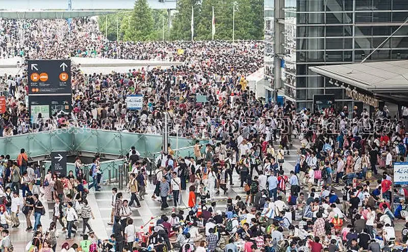 赏金国际下载